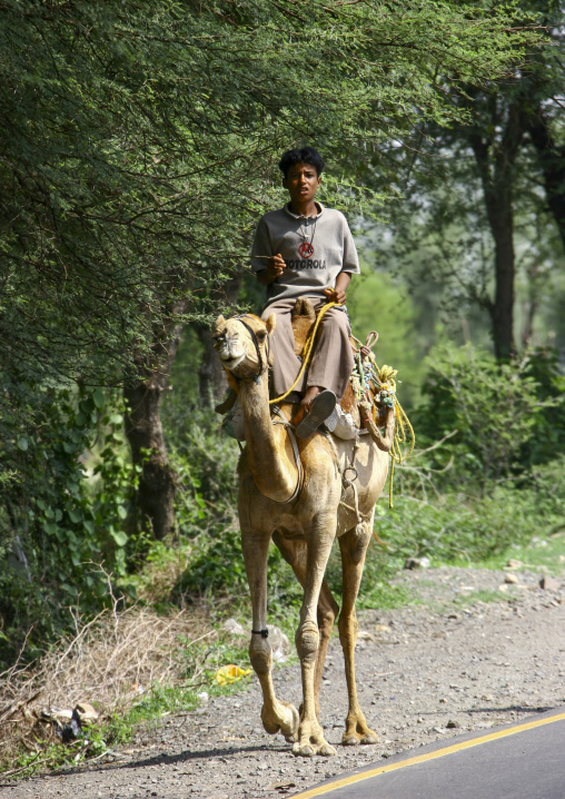 Yemeni man riding a camel, Taiz Governorate, Jabal Sabir, Yemen