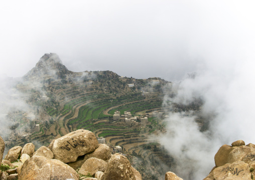 Terraces planted with cereals, Sanaa Governorate, Manakha, Yemen