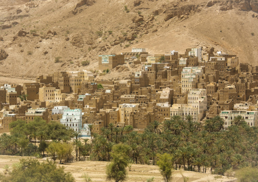 Mudbrick houses in a village, Hadhramaut, Khaila, Yemen