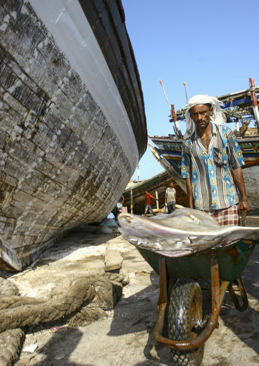 Shark market, Al Hudaydah Governorate, Hodeidah, Yemen