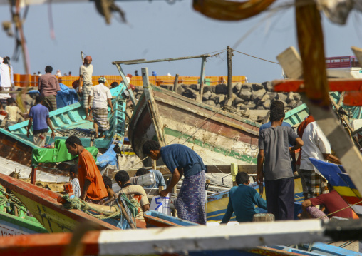 Fishing boats in the harbour, Al Hudaydah Governorate, Hodeidah, Yemen
