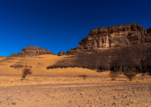 Rock formation in the desert, Tassili N'Ajjer National Park, Tadrart Rouge, Algeria