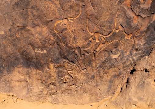 La vache qui pleure rock carving, North Africa, Erg Admer, Algeria