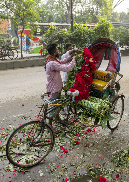 Bangladeshi man loading red roses on a rickshaw at market, Dhaka Division, Dhaka, Bangladesh
