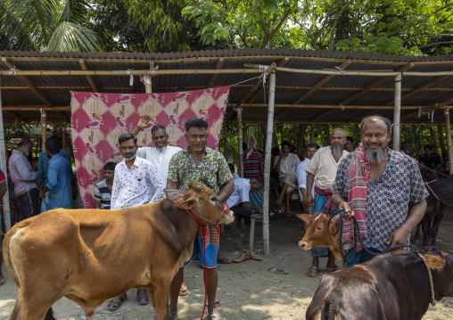 Bangladeshi men selling and buying cows at cattle market, Barisal Division, Wazirpur, Bangladesh