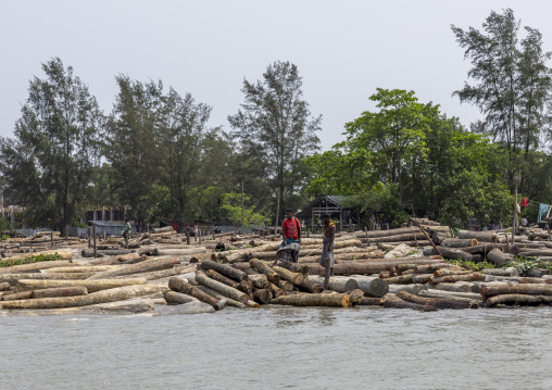 Timber market, Barisal Division, Nesarabad, Bangladesh