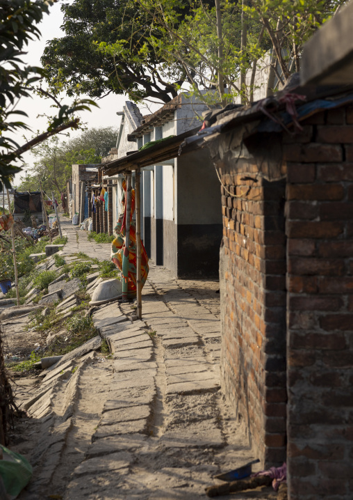 Fishermen houses on the river bank, Rajshahi Division, Rajshahi, Bangladesh