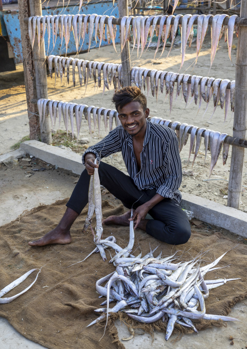 A male bangladeshi worker laids out fish to dry in sun on drying rack, Chittagong Division, Cox's Bazar Sadar, Bangladesh