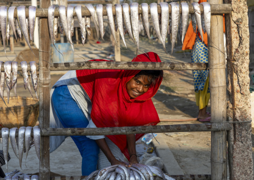 A female bangladeshi worker laids out fish to dry in sun, Chittagong Division, Cox's Bazar Sadar, Bangladesh