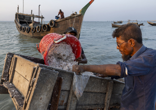 Bangladeshi fishermen unloading fishes on the beach, Chittagong Division, Cox's Bazar Sadar, Bangladesh