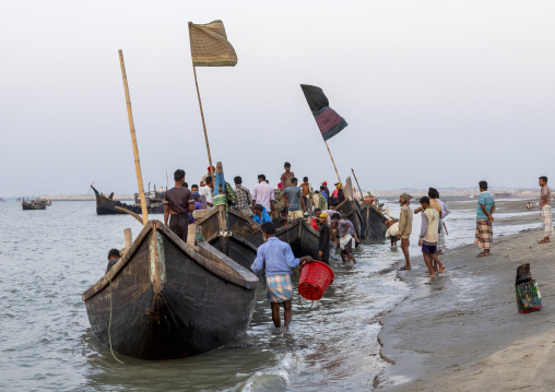 Bangladeshi fishermen unloading fishes on the beach, Chittagong Division, Cox's Bazar Sadar, Bangladesh