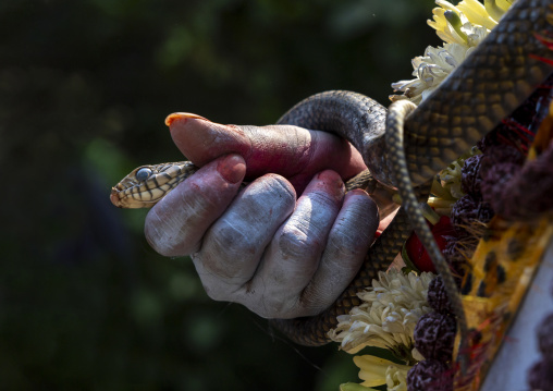 Portrait of a Shiva during Lal Kach festival, Dhaka Division, Tongibari, Bangladesh