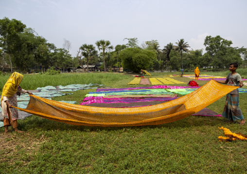 Bangladeshi workers drying fabrics the sun in a batik factory, Chittagong Division, Comilla, Bangladesh