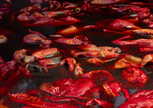 Fabrics dyeing in a batik factory, Chittagong Division, Comilla, Bangladesh