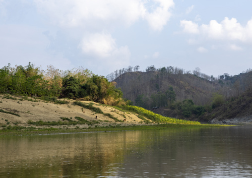Tobacco crops on the banks of a river, Chittagong Division, Rowangchhari, Bangladesh