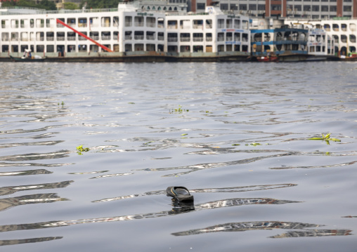 Summer slippers floating in front of aAnchored ferry vessels, Dhaka Division, Keraniganj, Bangladesh