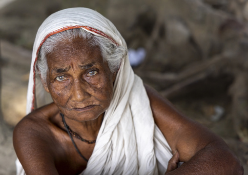 Portrait of a bangladeshi old woman with a white veil, Dhaka Division, Shivalaya, Bangladesh