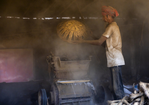 Bangladeshi worker putting dried tobacco leaves in grinder, Rangpur Division, Rangpur, Bangladesh