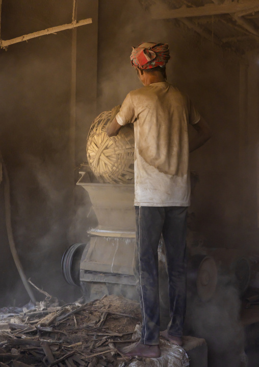 Bangladeshi worker putting dried tobacco leaves in grinder, Rangpur Division, Rangpur, Bangladesh
