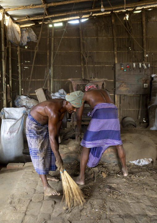 Bangladeshi workers putting dried tobacco leaves in grinder, Rangpur Division, Rangpur, Bangladesh