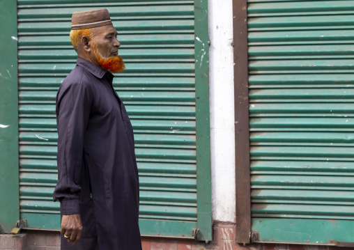 Bangladeshi eledery man with beard and hair dyed in henna, Rangpur Division, Taraganj, Bangladesh
