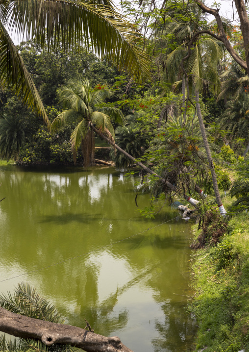 Natore Rajbari lake, Rajshahi Division, Natore, Bangladesh