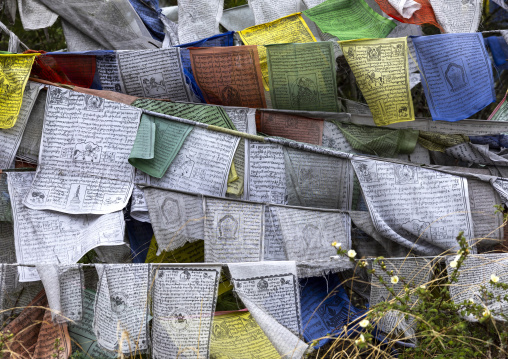 Prayer flags in the wind, Chang Gewog, Thimphu, Bhutan