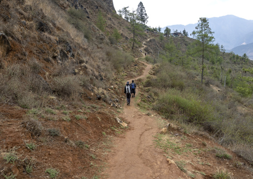 Tourists hiking in the mountain, Paro, Drakarpo, Bhutan