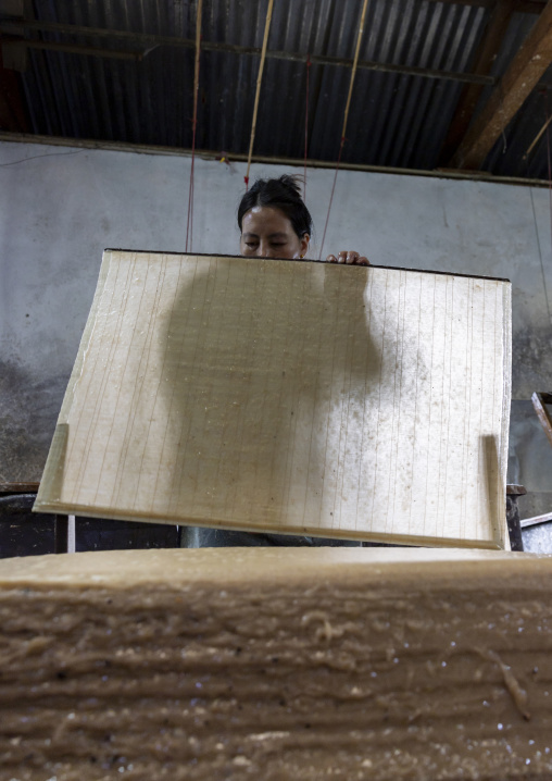 Bhutanese woman making paper using traditional methods, Chang Gewog, Thimphu, Bhutan