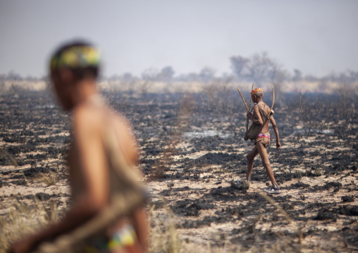 San hunters walking in the bush, Otjozondjupa, Tsumkwe, Namibia