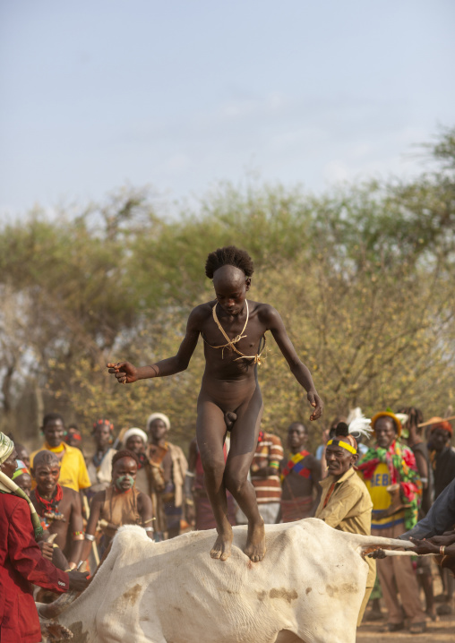 Naked bull jumper man from Hamer, Omo valley, Turmi, Ethiopia