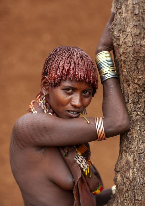 Portrait of a Hamer woman leaning on a tree, Turmi, Omo valley, Ethiopia