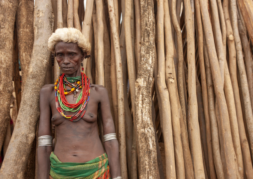 Senior Dassanech woman in front of wood stick fence, Omo valley, Omorate, Ethiopia