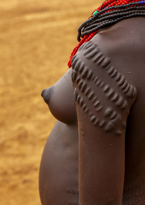 Scarified shoulder of a Dassanech woman, Omo valley, Omorate, Ethiopia