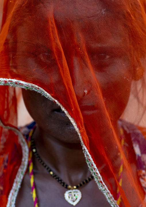 Portrait of a rajasthani woman hidding her face under a sari, Rajasthan, Jaisalmer, India
