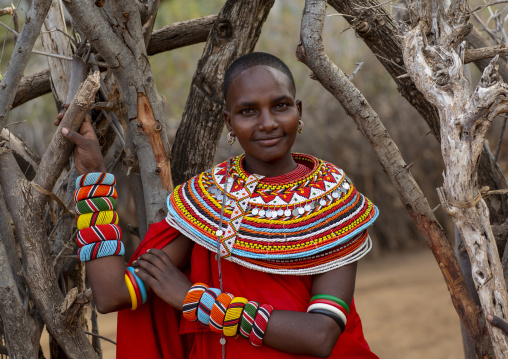 Portrait of a rendille tribeswoman, Marsabit district, Ngurunit, Kenya