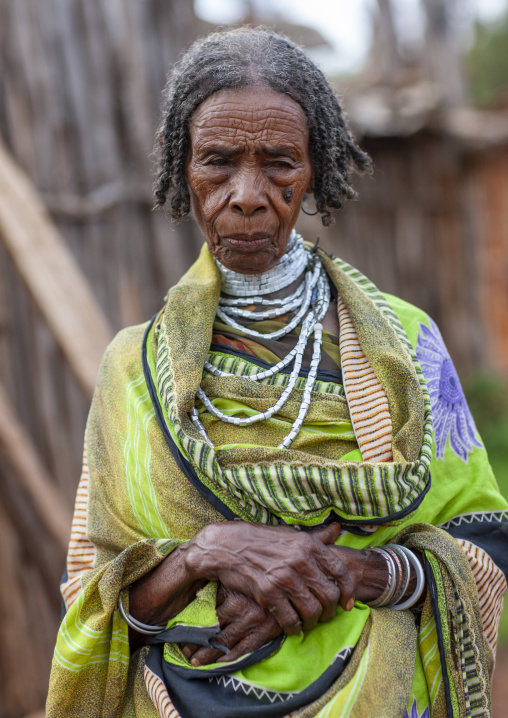 Portrait of a old borana tribe woman, Yabello, Omo valley, Ethiopia