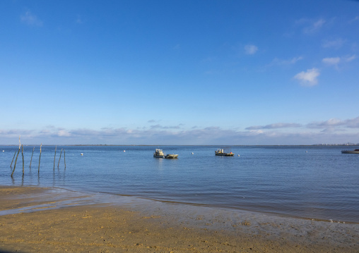 Oyster farm with growing oysters, Nouvelle-aquitaine, Cap Ferret, France