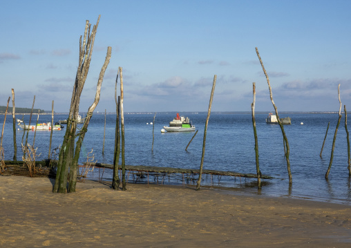 Oyster farm with growing oysters, Nouvelle-aquitaine, Cap Ferret, France
