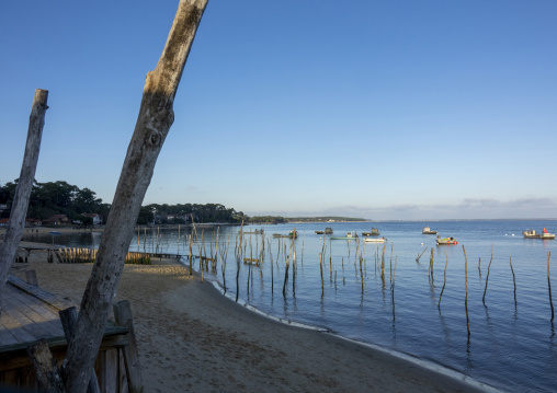 Oyster farm with growing oysters, Nouvelle-aquitaine, Cap Ferret, France