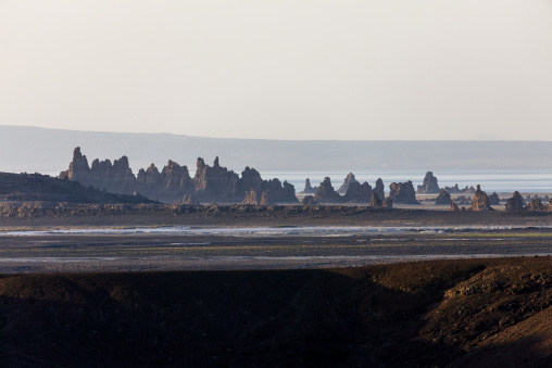 Volcanic limestone chimneys rise from the shore of Lake Abbe at dusk, Afar depression, Lake Abbe, Djibouti