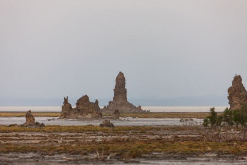 A solitary limestone chimney rock formation rises from the misty salt flat, Afar depression, Lake Abbe, Djibouti