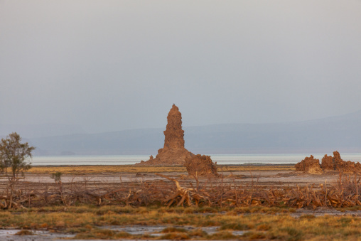 A bird perches atop a solitary limestone chimney rock formation, Afar depression, Lake Abbe, Djibouti