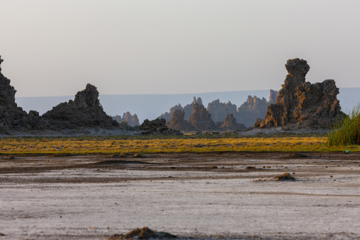 Limestone chimneys rise from the barren landscape at dusk, Afar depression, Lake Abbe, Djibouti