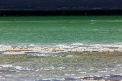 Crystallized salt foam lines the edge of Lake Assal's green water, Dikhil Region, Lake Assal, Djibouti