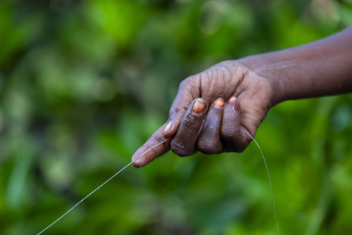 A fisherman's hand holds a thin fishing line stretched taut against a blurred green background, Obock Region, Gorodia, Djibouti