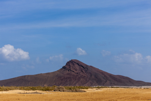 Green scrubland stretches toward a lone volcanic peak, Obock Region, Khor angar, Djibouti