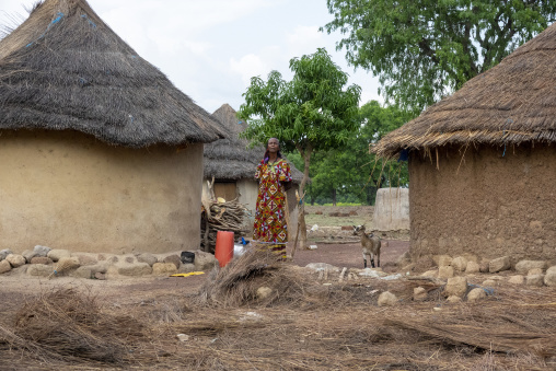 Woman in a colorful dress stands among thatched mud huts with a goat nearby, Savanes district, Ndara, Ivory Coast