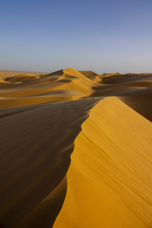 Vertical view of a large sand dune ridge with rippled patterns leading toward the horizon, Dhofar Governorate, Rub al Khali, Oman