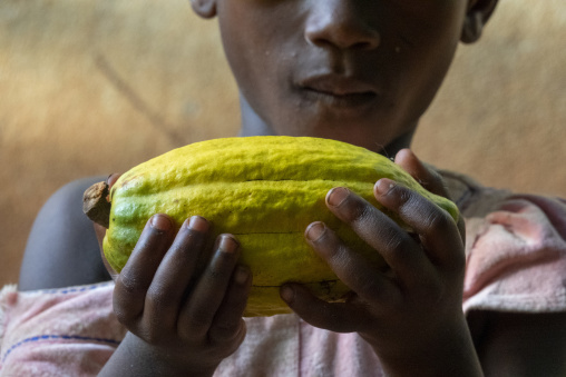A child holds a ripe yellow cocoa pod close to the face, Région des Lacs, Yamoussoukro, Ivory Coast